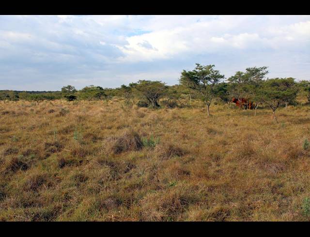 367HA FARM FOR SALE IN KOMGA